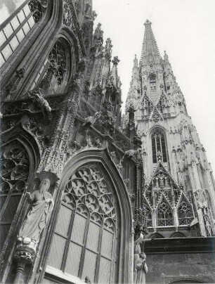 Der Stephans-Dom