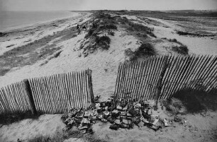 Archivfotografie "motive_umwelt_muell_17812"