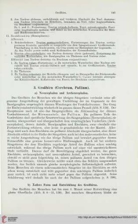 3. Großhirn (Cerebrum, Pallium)