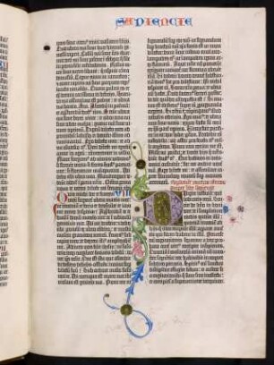 Liber Sapientiae