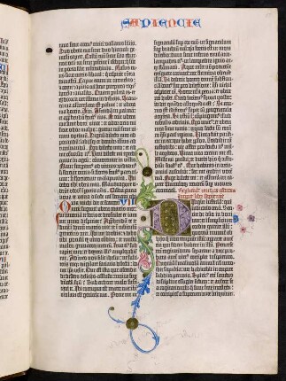 Liber Sapientiae