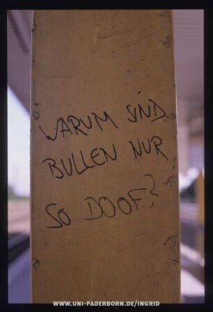 WARUM SiND BULLEN NUR SO DOOF?