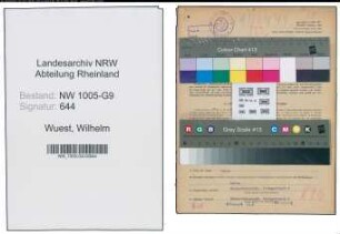Entnazifizierung Wilhelm Wuest , geb. 12.02.1885 (Baufuehrer)