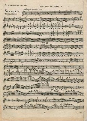 Violino Principale