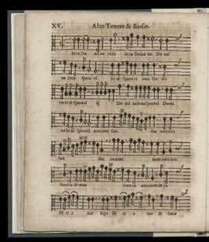 XV In te Domine speravi (Alto, Tenore & Bassio)
