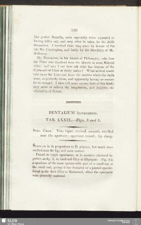 Dentalium incrassatum. Tab. LXXIX. - Figs. 3 and 4