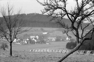 Bernbach: Ortsteil Althof, Vordergrund kahle Bäume