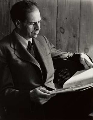 Der Fotograf Ernst Rathenau