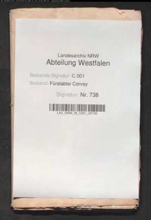 Forstvergehen (Einzelfälle)