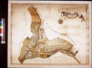 Geometrischer Plan über die herrschaftlich wertheimische Dorfsmarkung Niklashausen, wie solches alles kunst-, horizontal- und winkelmäßig gemessen und aufgenommen (Inselkarte)