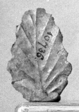 Blech in Form eines Blattes (ähnlich Misc. 10732)