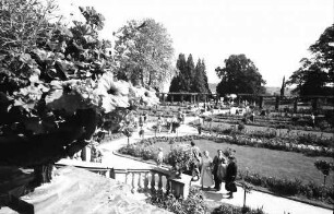 Mainau, Insel Mainau: Rosengarten, Gesamtansicht