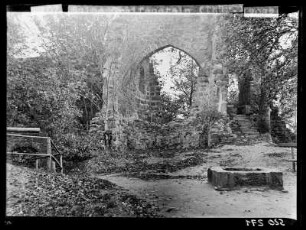Ruine der Burg Greifenstein
