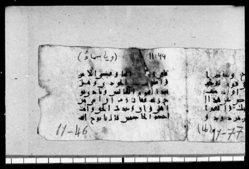 al- Qurʾān [DAM 6-8.3]
