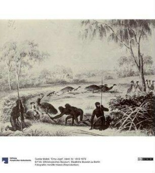 "Emu-Jagd"
