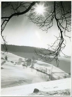 Schneelandschaft