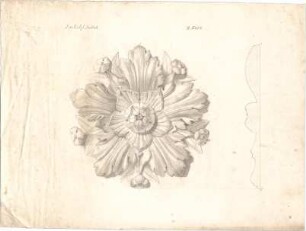 Reiffenstuel, Michael; Studienarbeit - Rosette (Ansicht, Schnitt)