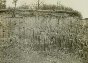 Oberlausitz. Strohmberg bei Weißenberg. Südlicher Basaltbruch, senkrechte Säulen des Deckenbasalts