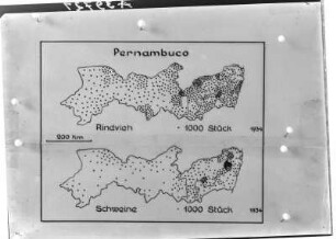 Viehzuchtgebiete Pernambuco : Fotografie einer Karte der Rinder- und Schweinezuchtgebiete in Pernambuco 1934.