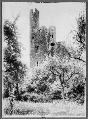 Saalfeld, Hoher Schwarm