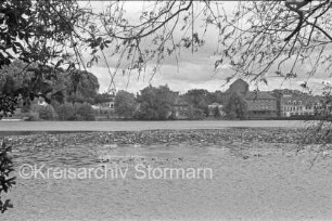 Herrenteich: Seerosen auf dem Wasser: im Hintergrund Matthias-Claudius-Straße mit Claudius-Mühle und weiteren Gebäuden und Bäume