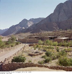 Katharinenkloster - Sinai