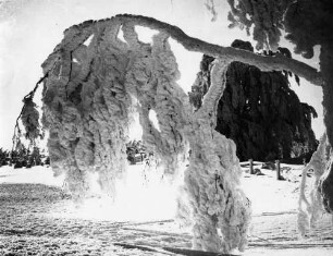 Winter auf dem Schauinsland