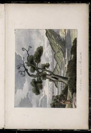 Pl. XIX. Vue de la baie Avatcha au Kamtchatka