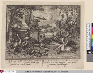 Verschyde soo Oost-Indise als West-Indise en Hollandse vogelen