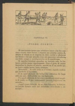 Capítulo VI - ¡Pobre Fermín!