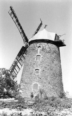 Niederndodeleben-Schnarsleben. Turmholländer, erbaut 1808-1810
