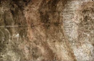 Leben und Verehrung des heiligen Johann Nepomuk