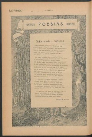 Poesías : Dulce sombra nocturna
