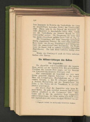 DIe Hilfsvorrichtungen des Bulbus.
