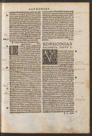 Sophonias Propheta.