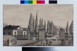 Das Steintor