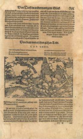 Grafik und Text "Von dem unversehen gähen Todt. CAP. CXXIII"