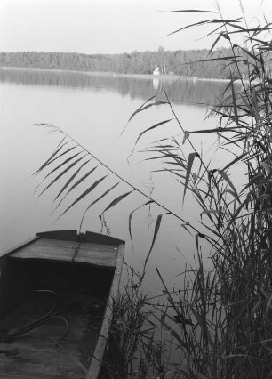 Deulowitzer See bei Guben : Deulowitzer See bei Guben, vom Schilfufer mit Kahn