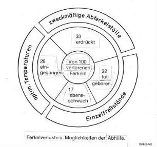 Ferkelverluste und Möglichkeiten der Abhilfe