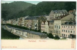 Karlsbad. Alte Wiese
