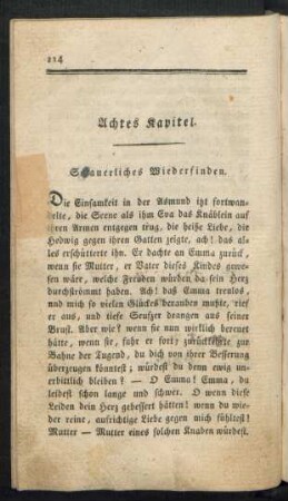 Achtes Kapitel. Schauerliches Wiederfinden.