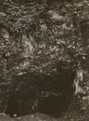 Berbersdorfer Kalkbruch : Berbersdorfer Kalkbruch. Alter Tiefbau