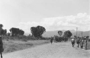 Italienische Kolonialsoldaten : Italienische Kolonialsoldaten auf einer Landstraße