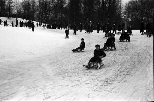 Berlin; Wilmersdorf: Schnee in Berlin; Rodelbetrieb im Stadtpark