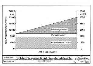 Täglicher Energieumsatz und Energiebedarfsbereiche
