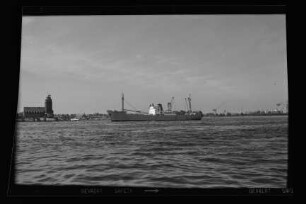 Helios (1951), Neptun.- Dampfschifffahrts-Gesellschaft „Neptun“, Neptun Linie, D.G. "Neptun", Bremen