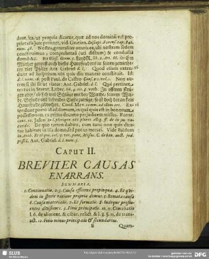Caput II. Breviter Causas Enarrans