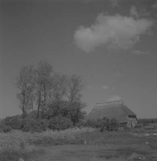 Ummanz-Waase-Wusse. Fischerbauernkate