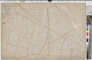 Heeren-Werve (Kamen), Zusammenlegung Werve, Bl. 4 Urkarte II Werve Flur 4