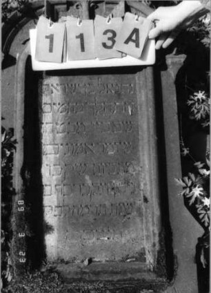 Grabstein 113 (Index: 99792206) Material: Sandstein Zustand: gut, Stele liegend Maße HxBxT: 118x58x13 cm Beschreibung: Stele, Segmentbogenabschluß, rechteckig erhöht, Schriftfeld eingetieft mit Kielbogenabschluß Symbolik: Zweige: Grabstein 113A